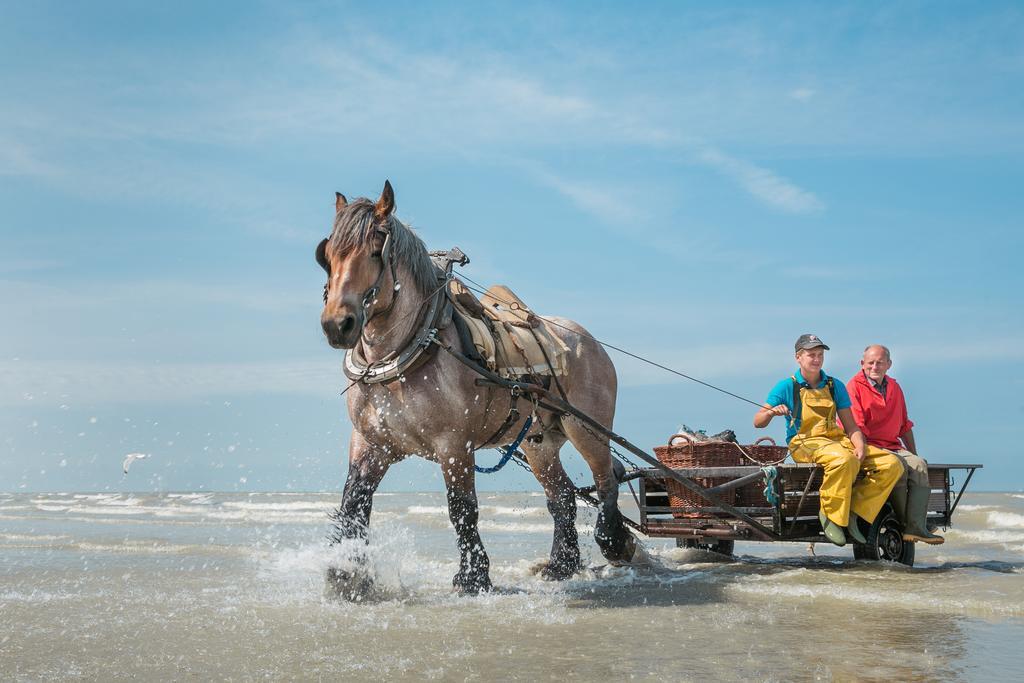 Jeugdherberg De Peerdevisser オーストダインケルケ エクステリア 写真